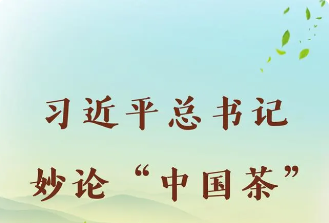 第一观察｜习近平总书记妙论“中国茶”